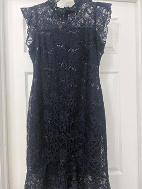 Navy Lace Midi Dress with Sheer Yoke